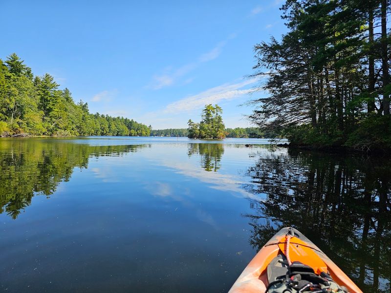 Camping Under the Stars With Lake Views and Firelit Nights