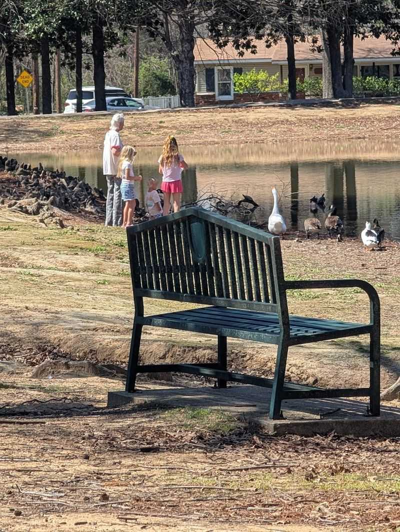 The Ponds and Ducks That Set the Peaceful Tone
