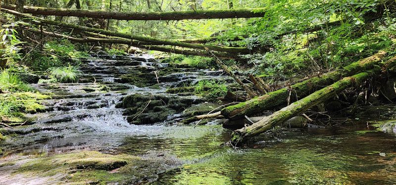 Stony Brook Falls (Stepping Stone Falls)