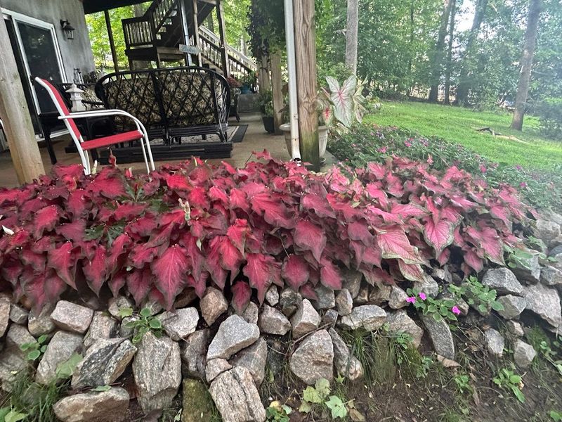 Exploring Lake Placid Beyond the Festival Grounds