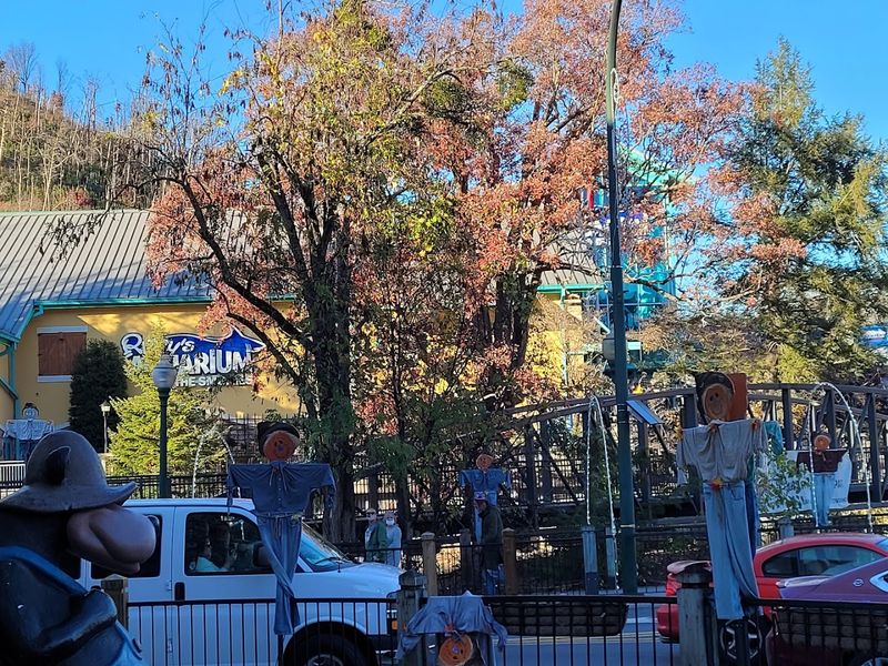 When the Fires Came: The 2016 Wildfire That Changed Everything