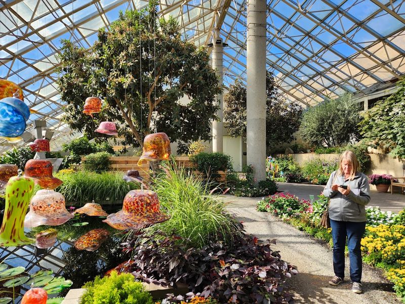 The Conservatory Shop: Houseplants, Local Art, and Unique Gifts