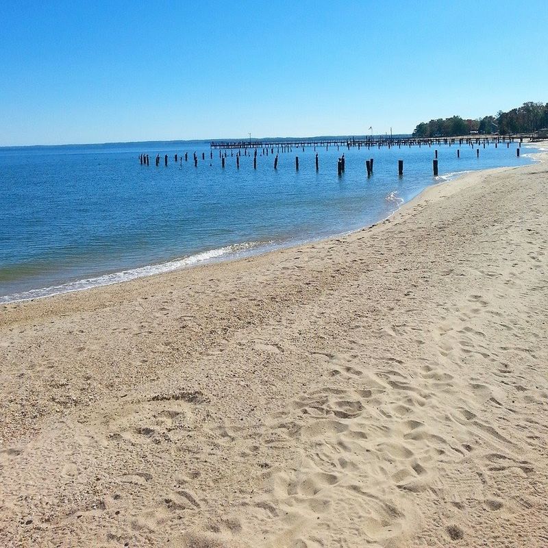 Westmoreland State Park Is a Fossil Hunter's Paradise