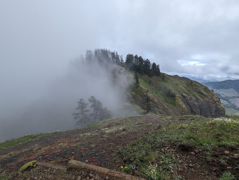 Saddle Mountain, Seaside, Northern Coast Range, Oregon