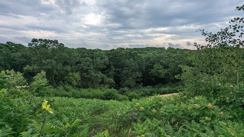 Little Tom: The Overlooked Gem Worth Your Time