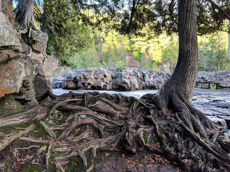 Why Spring Waterfalls Feel Like a Once-a-Year Event