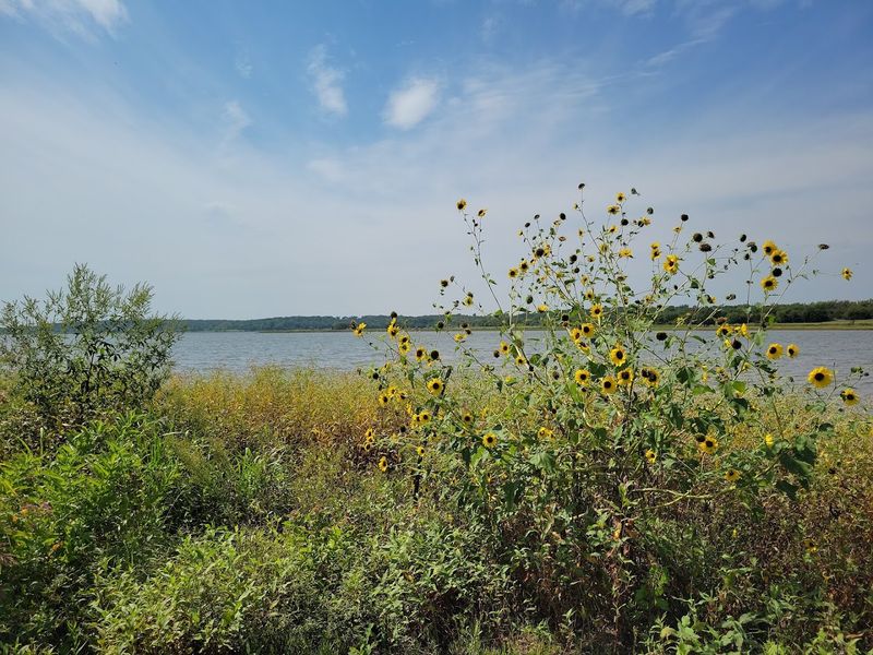 Trails and Hiking Around the Lake