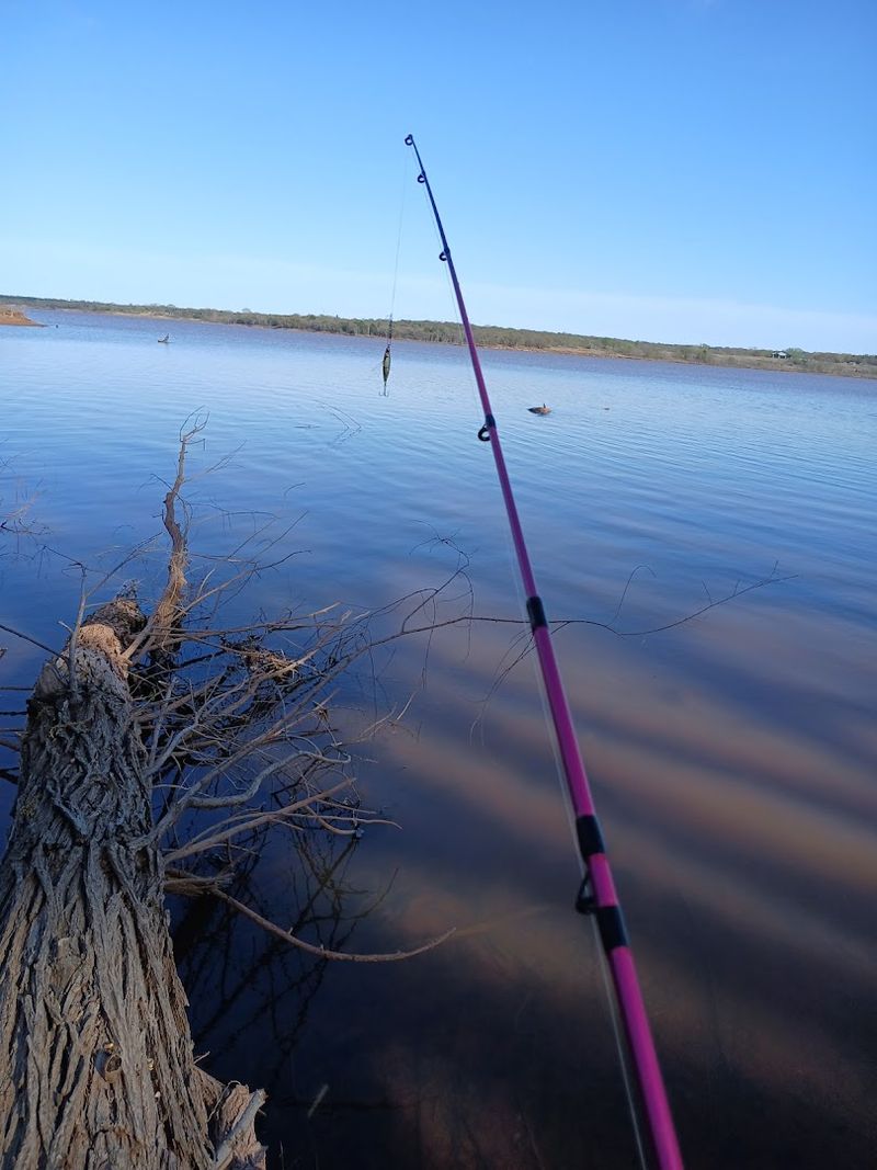 Fishing Here Is a Legitimate Reason to Visit