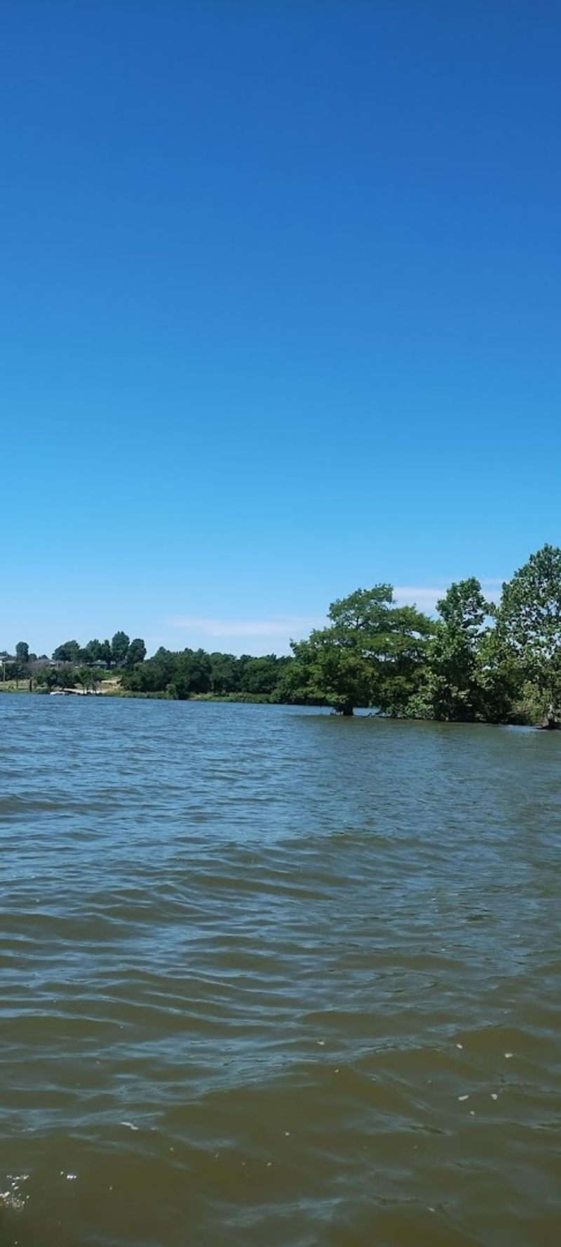 Swimming Spots That Keep Families Coming Back Year After Year