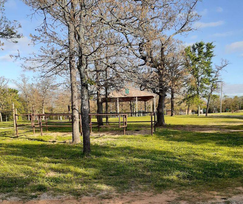 Equestrian Trails Worth Saddling Up For