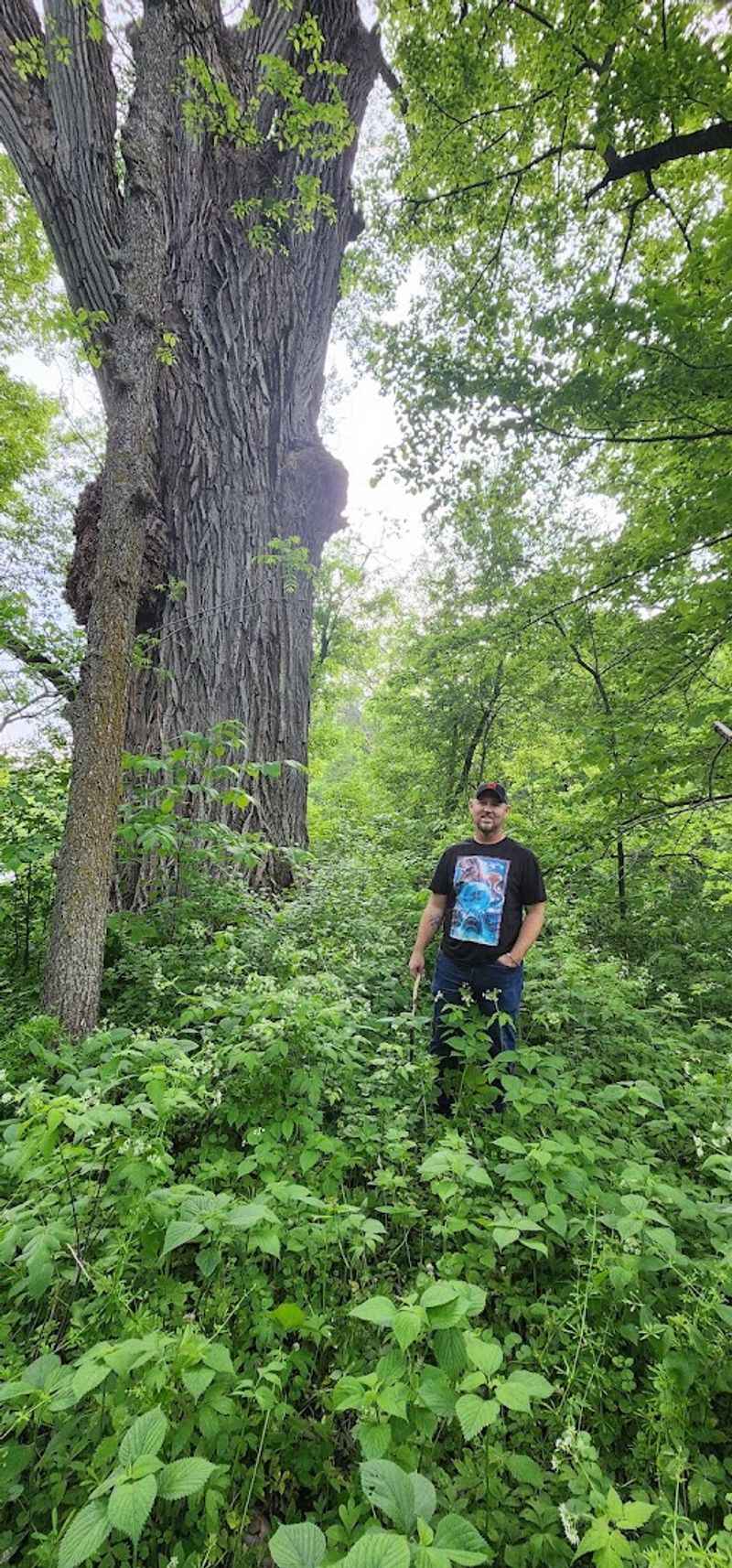 Stargazing and Night Skies Far From City Lights