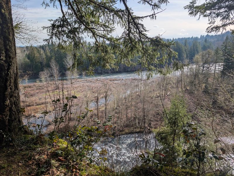 Fishing the Clackamas River