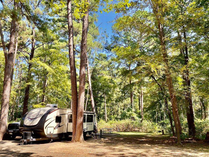 Birding and Wildlife That Keep You Looking Up and Around