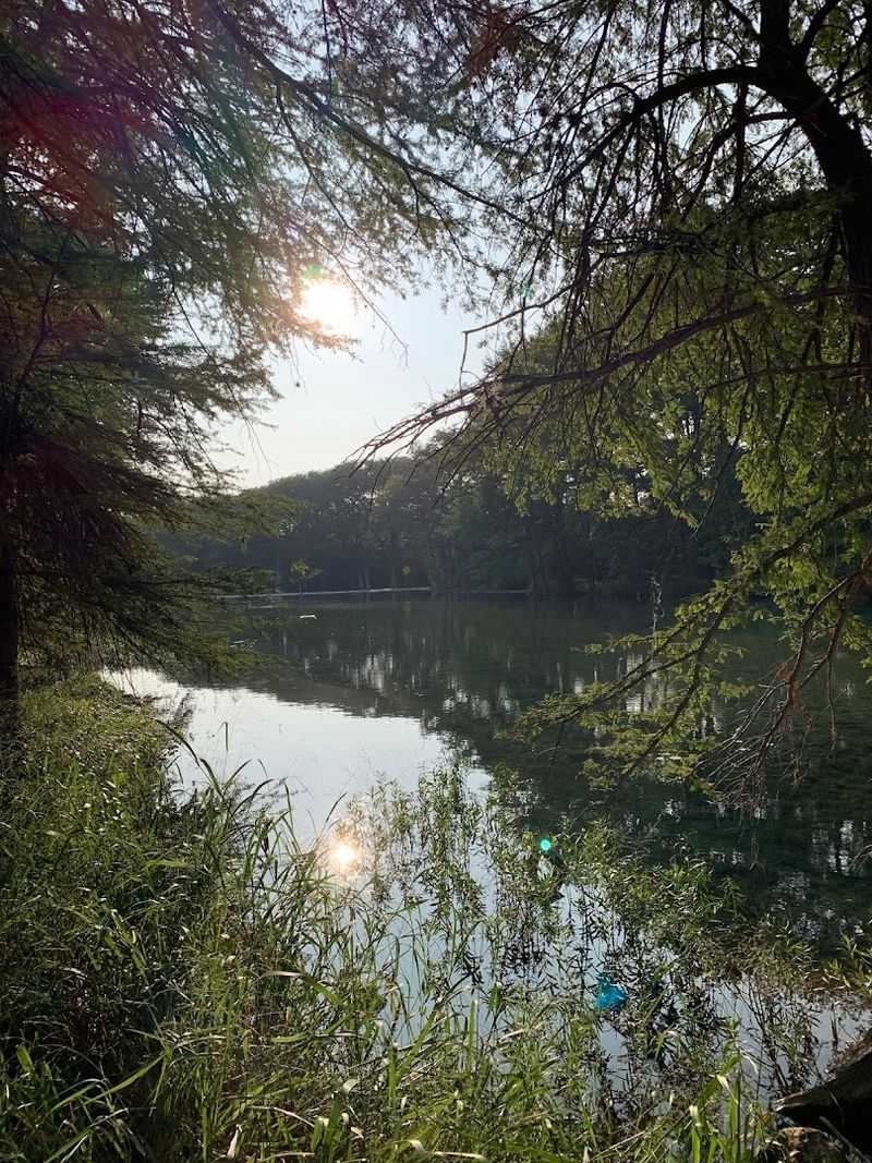 The Wildlife That Calls the Frio River Home