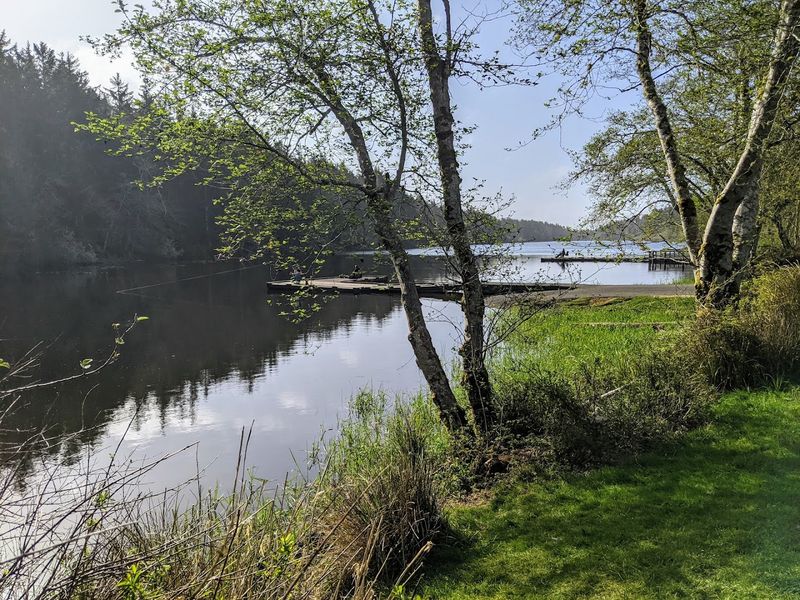 Mushroom Picking and Nature Walks: Slower Magic in the Woods