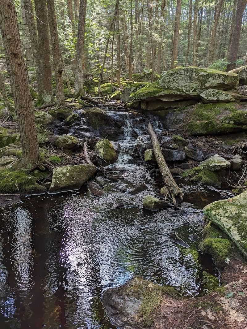 Devil's Den Cave and Over 30 Caves Worth Exploring