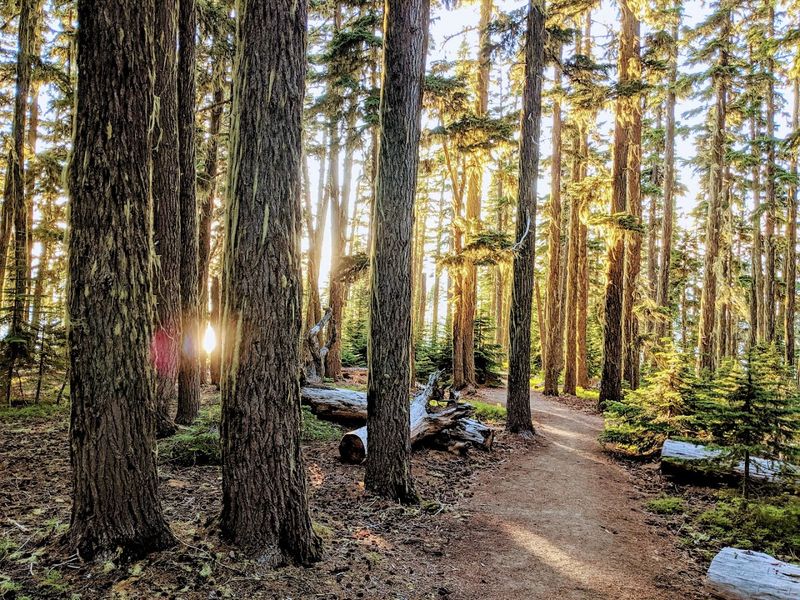 Hiking Trails That Circle the Entire Lake