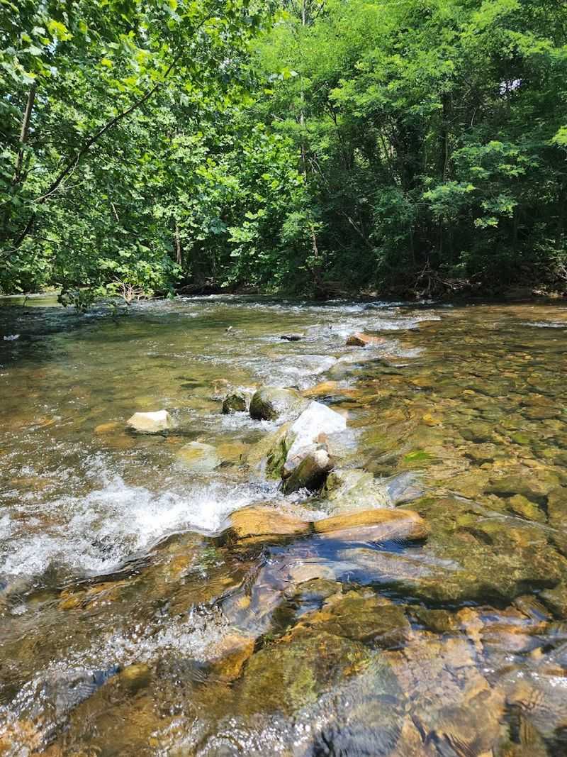 The North River and Wildlife Along Its Banks