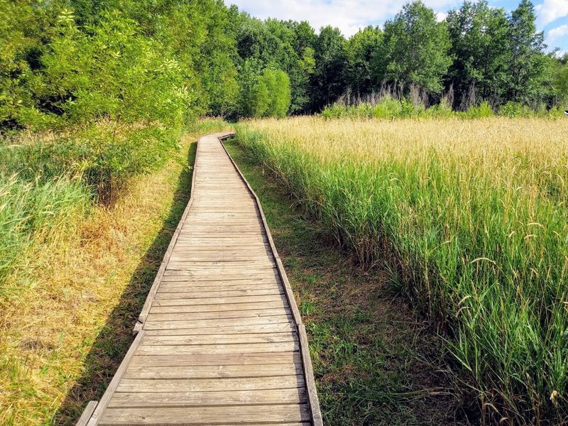 The Locust Creek Riparian Trail and Its Rewards