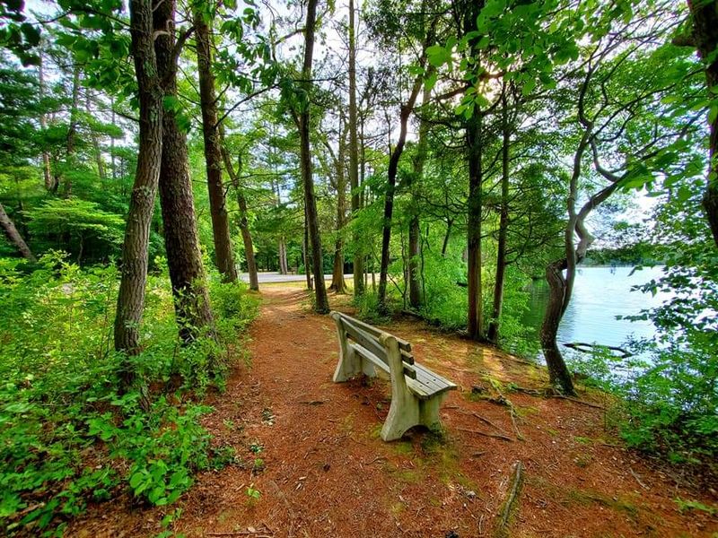 A Birdwatcher's Paradise During Spring Migration