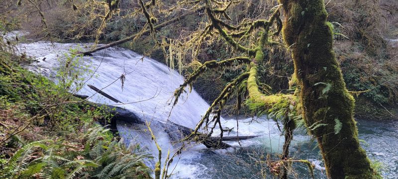 Wildlife and Nature Along the Trail: Small Wonders Worth Slowing Down For