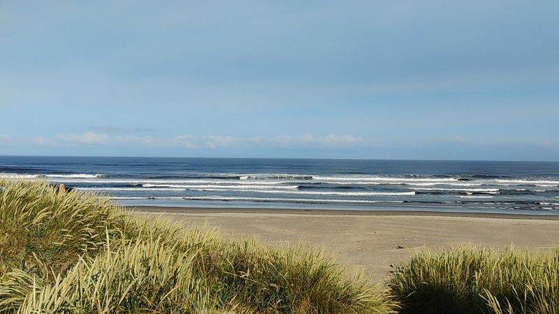 Best Times to Visit and What to Bring