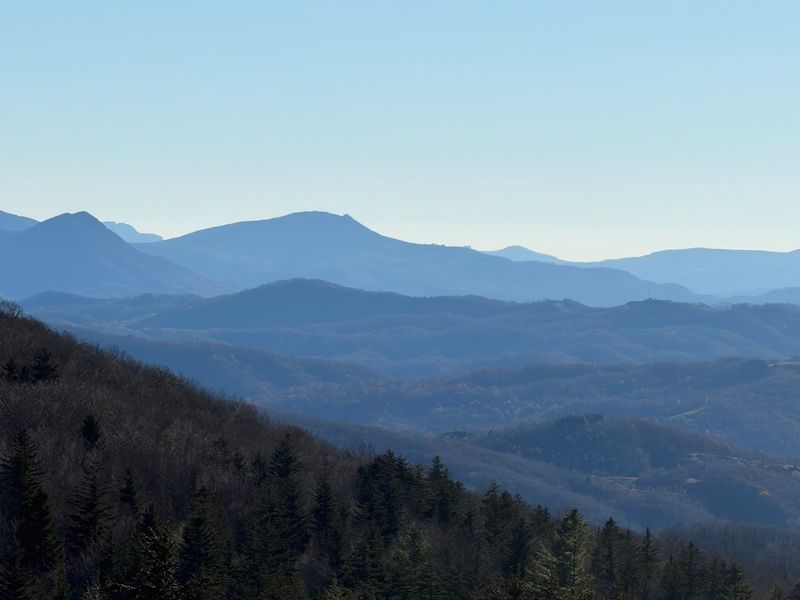 Wildlife Beyond the Ponies