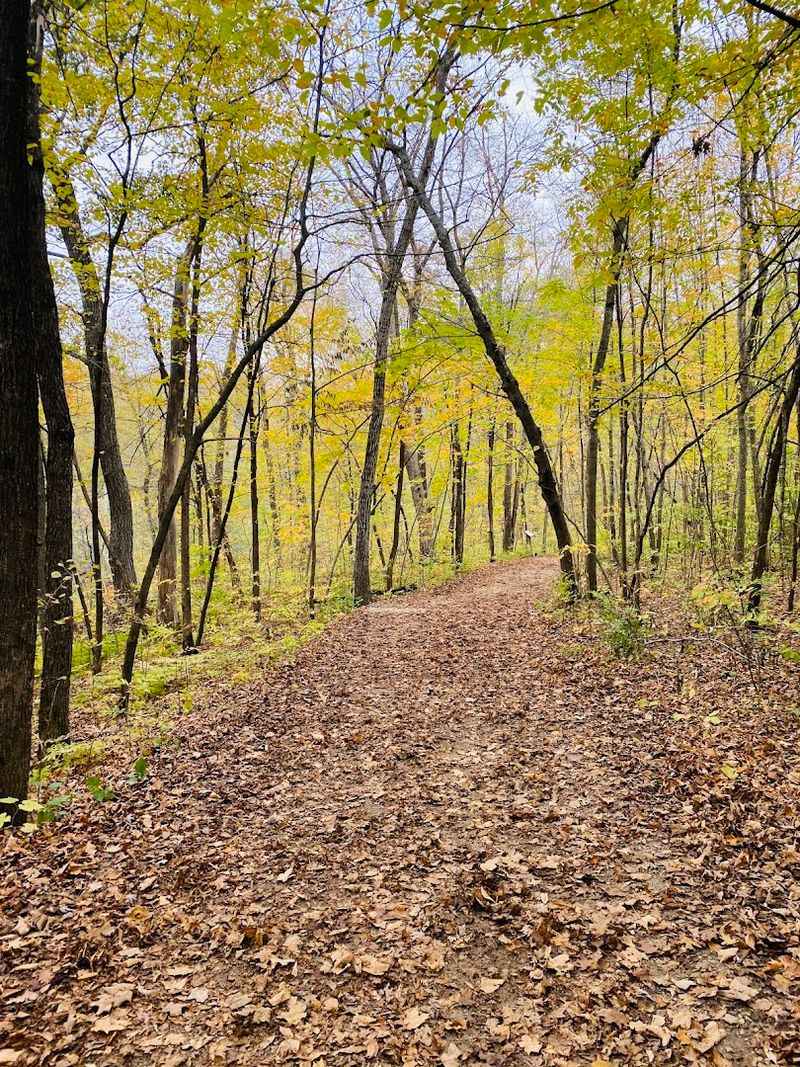 The Broader Trail System