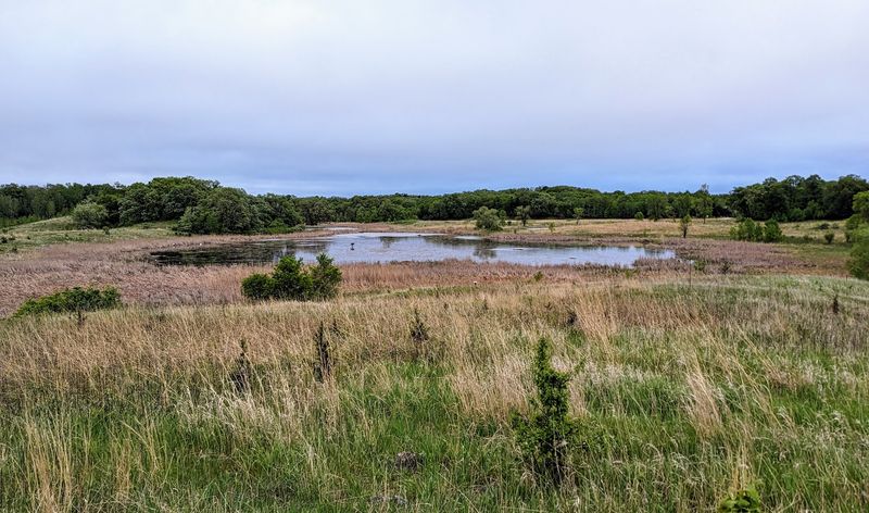 The Nature Center: Where Curiosity Comes Alive