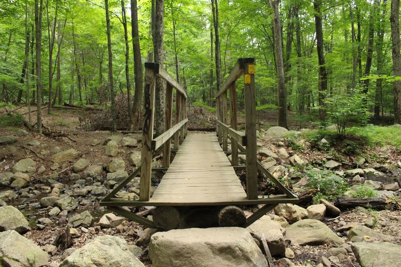 Camping Near Scarlet Oak Pond: Sleeping Under the Ramapo Stars