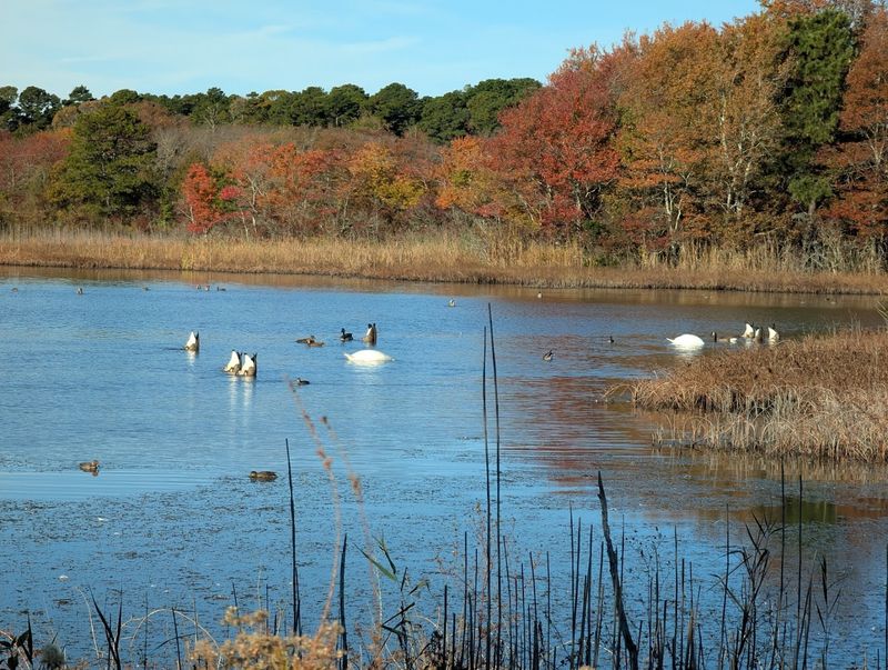 Edwin B. Forsythe National Wildlife Refuge