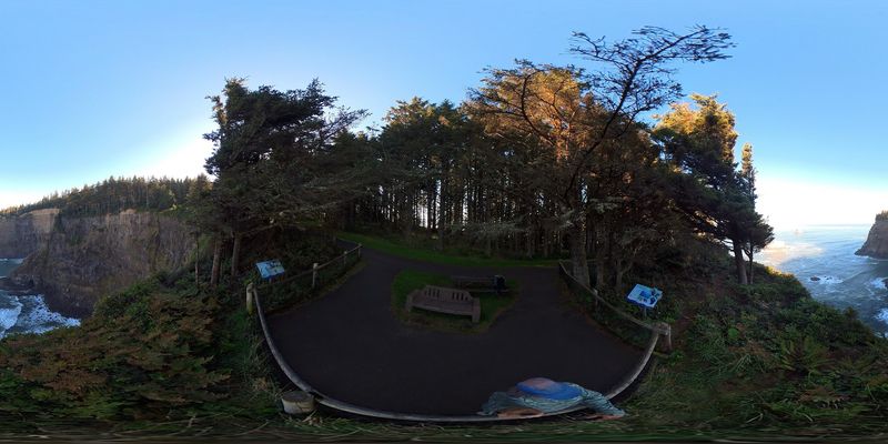 The Forest Trail to the Viewpoints