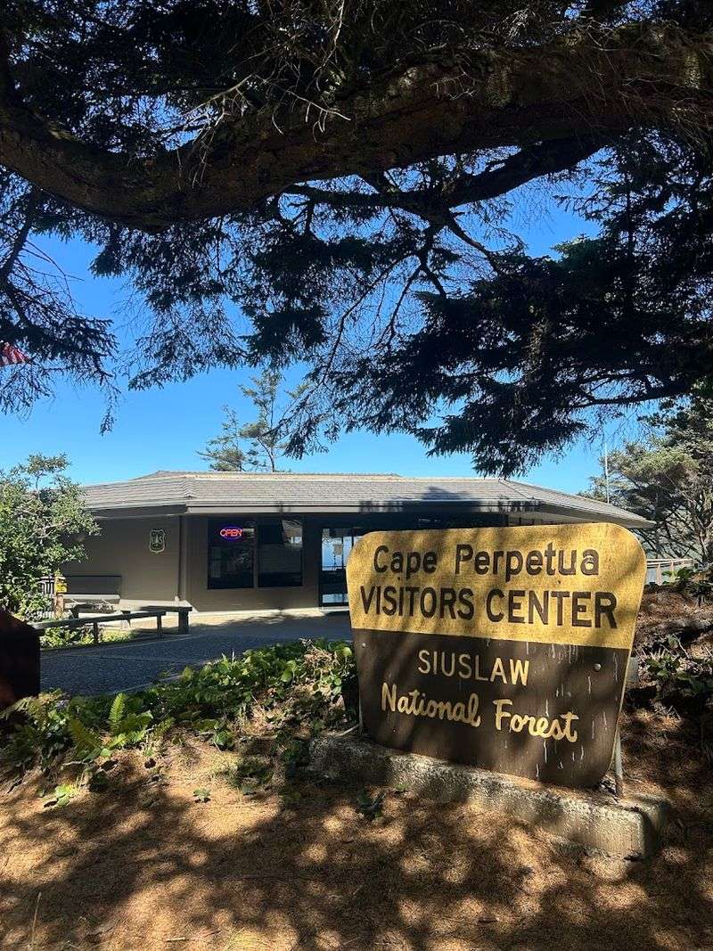 Cape Perpetua Visitor Center: Your Best First Stop