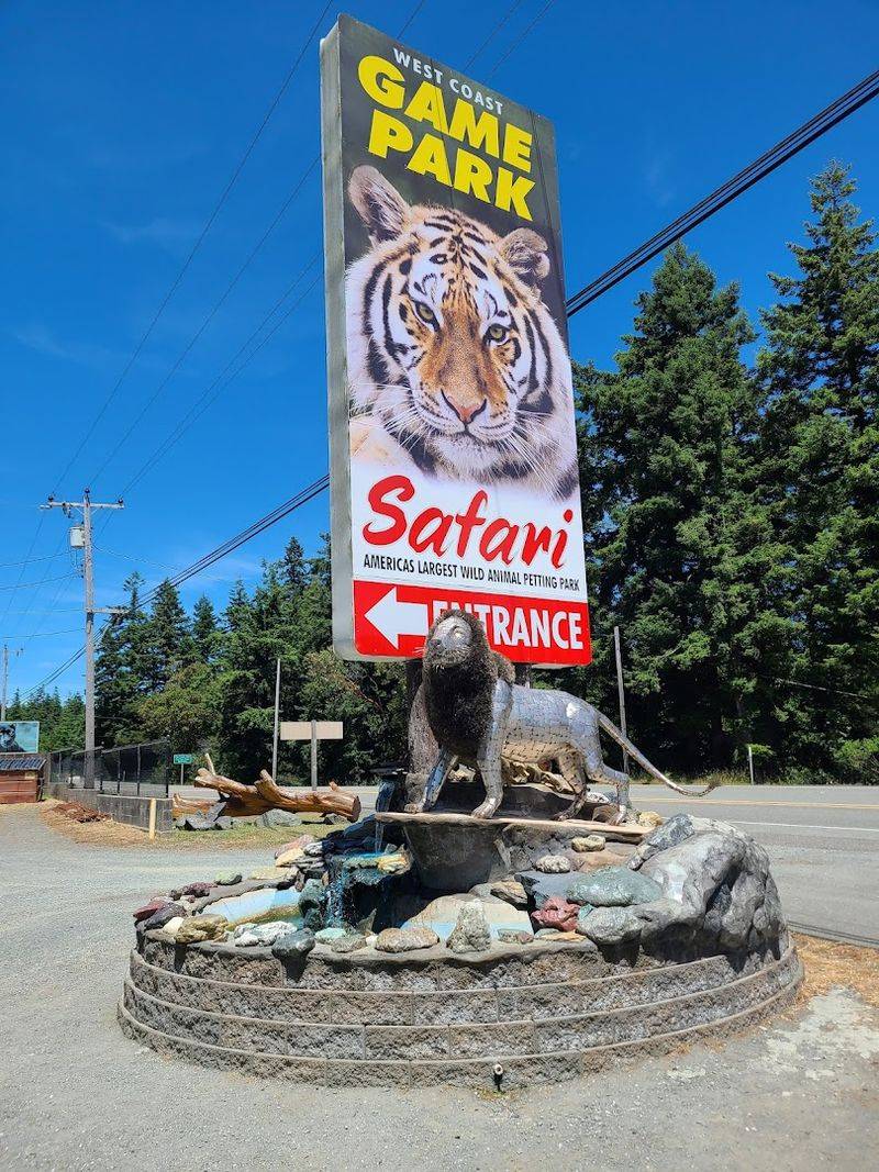 A Gift Shop Worth Browsing