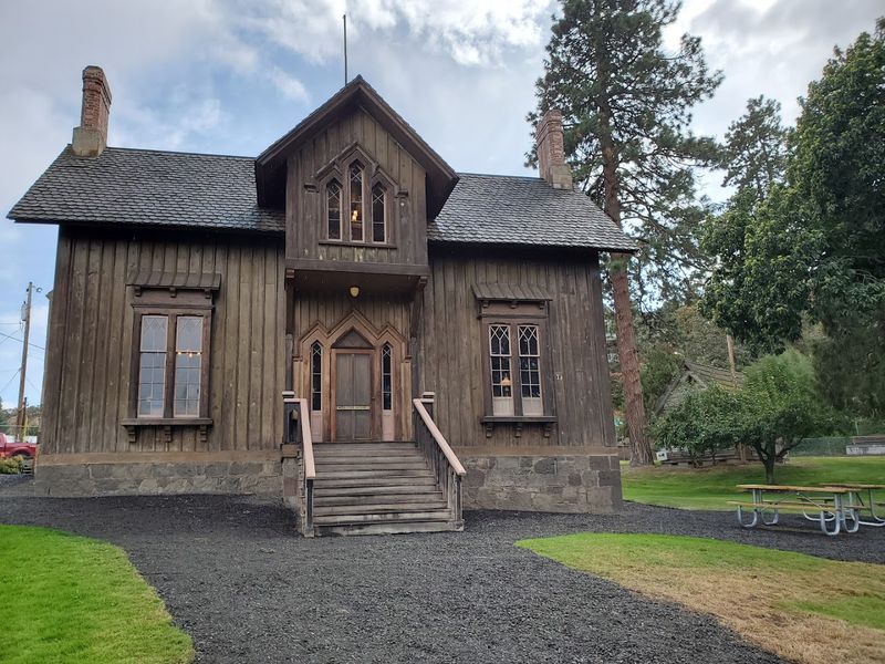 Meet Midnight: The Museum Cat Who Steals the Show