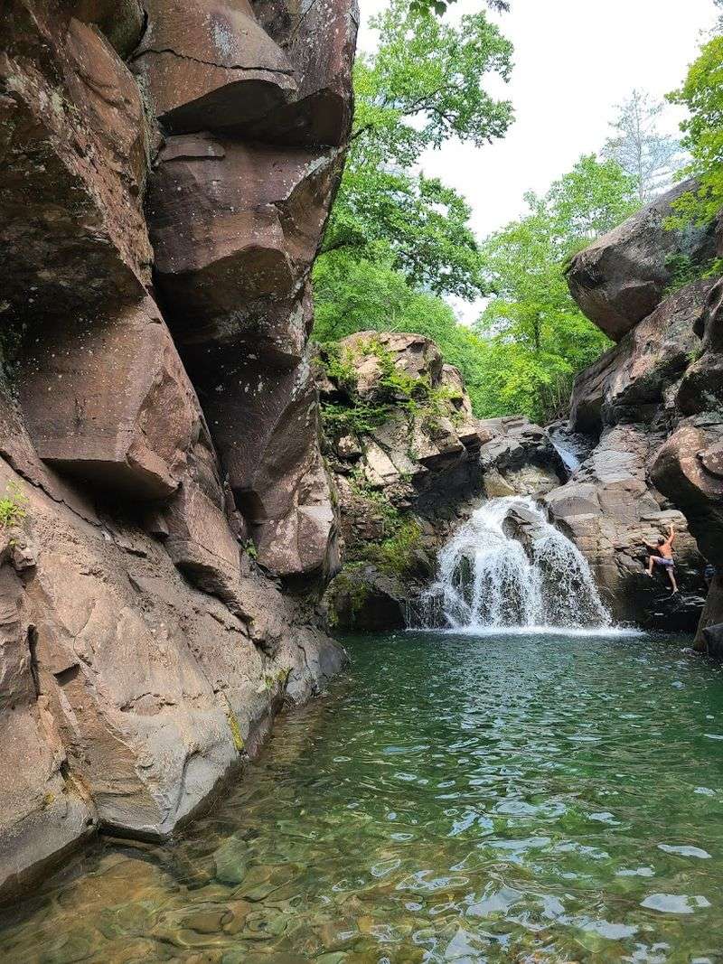 A Refreshing Oasis Tucked In The Woods