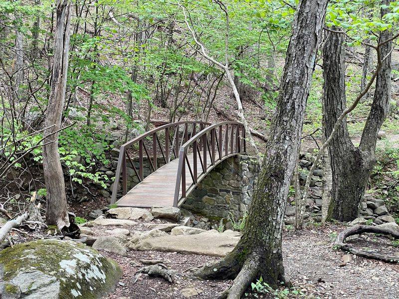Rose River Loop Trail, Syria