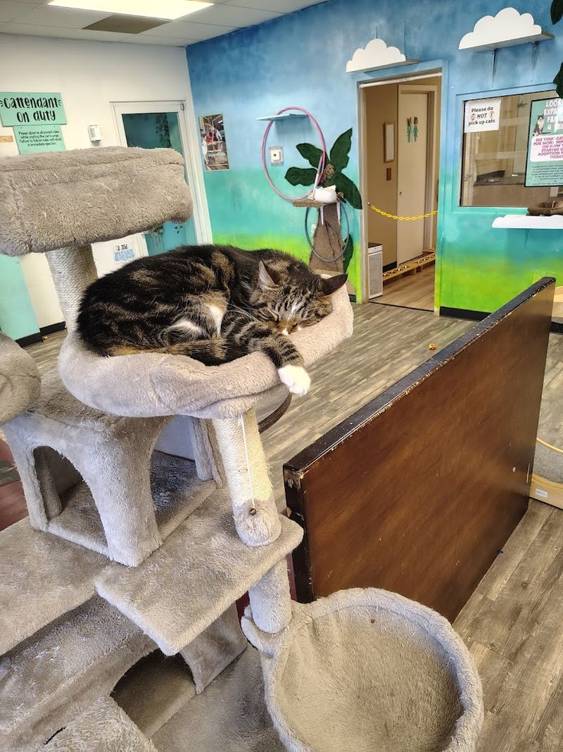 No Reservation Stress, Just Walk Right In