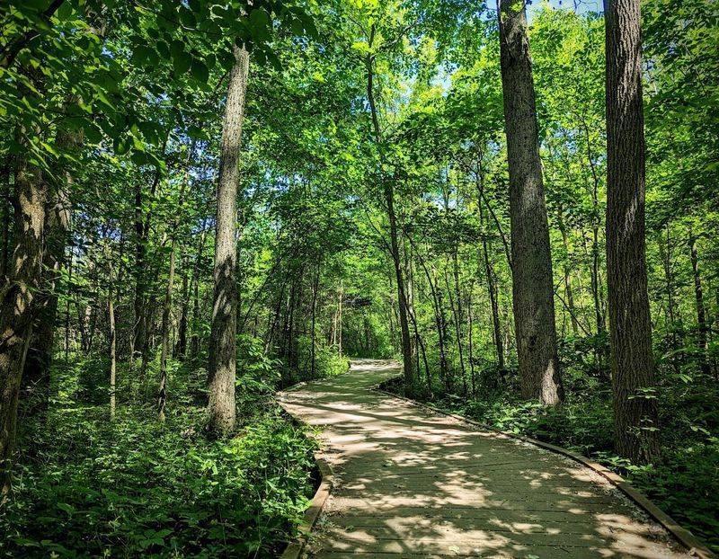 Ritchey Woods Nature Preserve