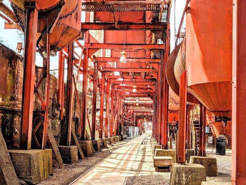 The Scale Catches First-Time Visitors Off Guard