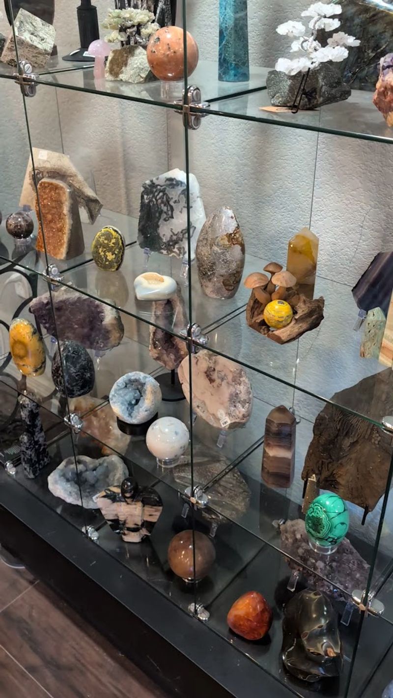 The Museum and Gift Shop Experience