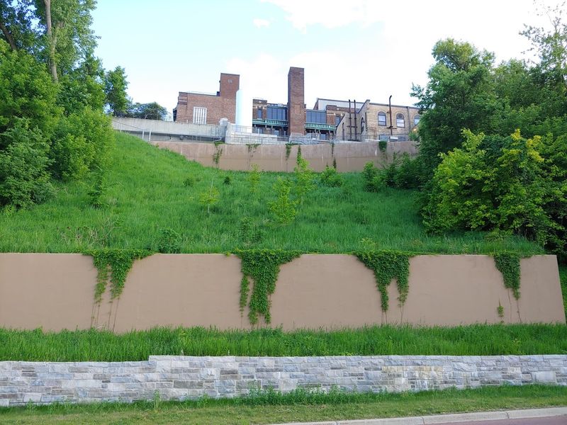 Somali Tea Houses and the Art of Slowing Down