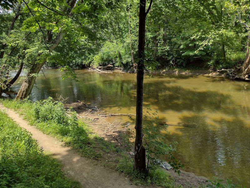 Extensive Trail Network Through Varied Terrain