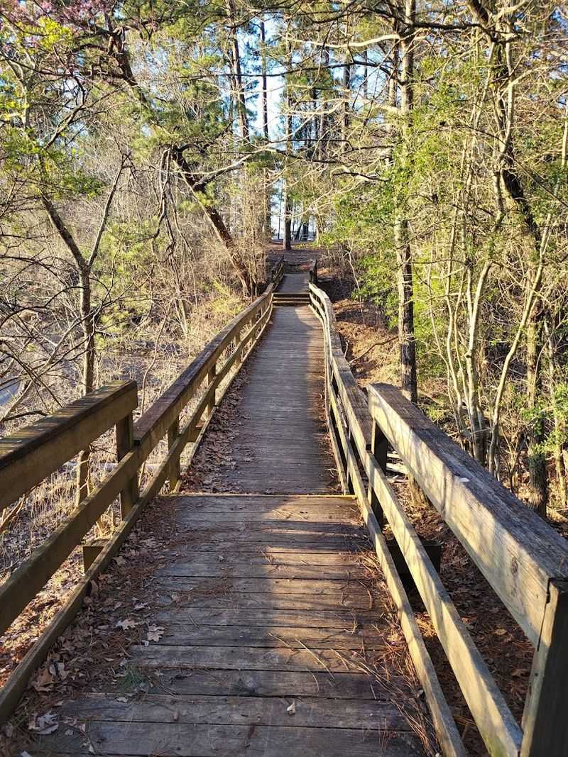 Lake Livingston State Park (Pineywoods Boardwalk) 
