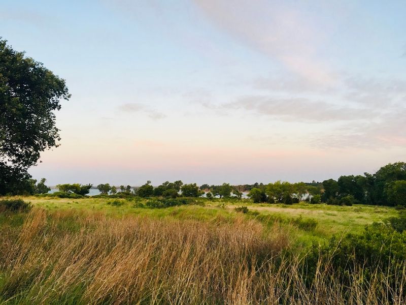 The Heart Healthy Trail Through Meadows and Trees
