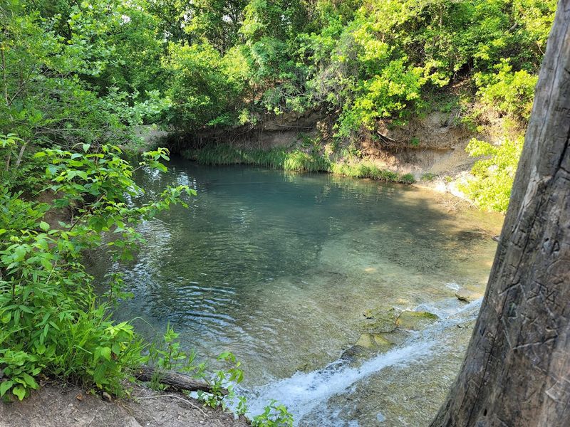 The Swimming Holes: Clear Water on a Hot Texas Day