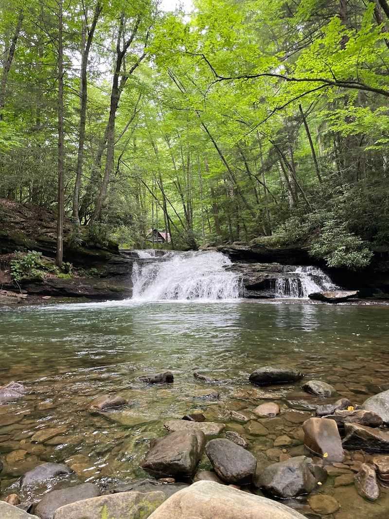 Kumbrabow State Forest: West Virginia's Highest and Most Peaceful