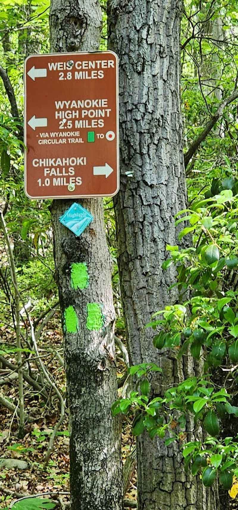 Trail Markings and How to Navigate Them