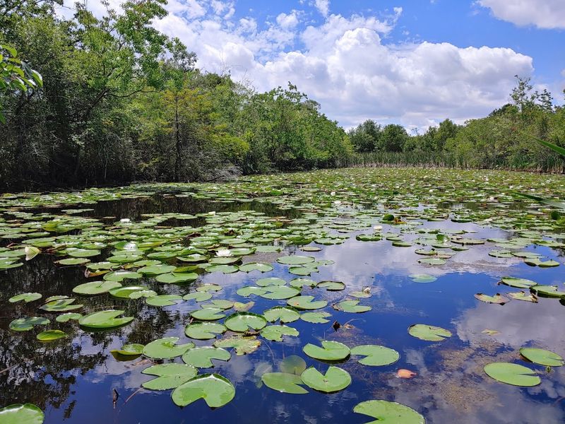 Sheldon Lake State Park