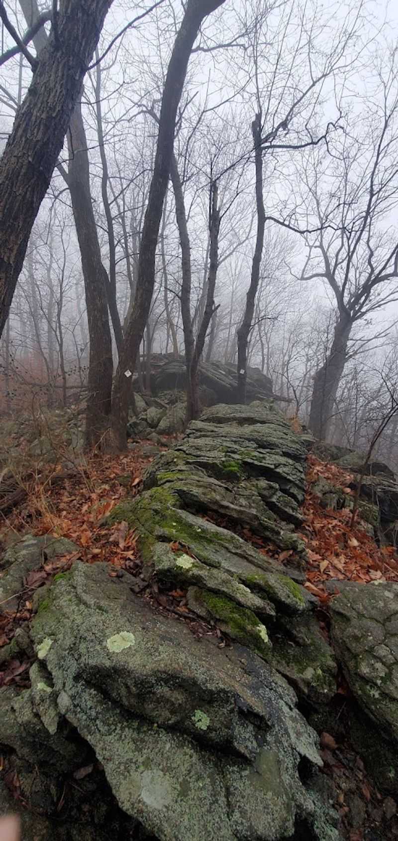 The Ridge Trail and Its Annual Closure